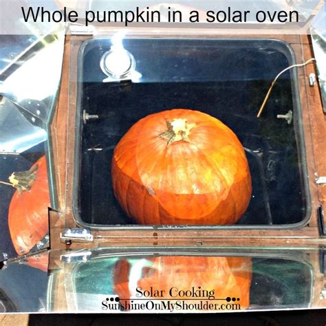 How to.cook zucchini in oven to reduce the water. How to Make a Baked Pumpkin in a Solar Oven | Solar ...