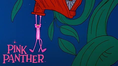 Pink Panther And The Giant Beanstalk 35 Minute Compilation Pink