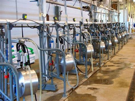 Milking Equipment Copy Wdsl Dairy Supplies And Equipment In