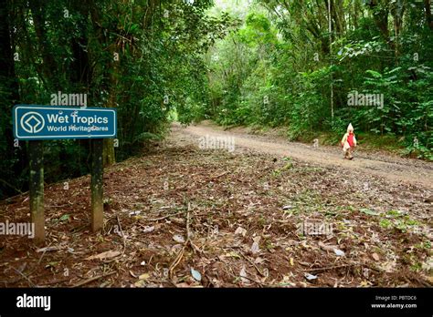 Wet Tropics World Heritage Area Sign With Bullet Holes Hi Res Stock