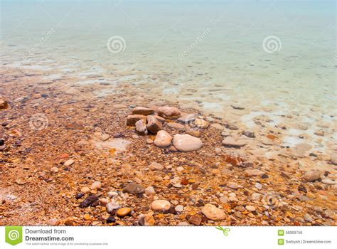 Minerals Of Dead Sea Stock Photo Image Of Shoreline 56069756