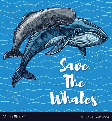 Poster For Whales Saving Royalty Free Vector Image