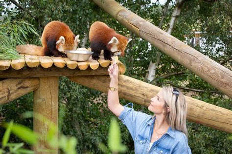 New Reserves For Yorkshire Wildlife Park Discover Animals