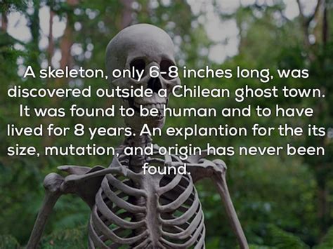 18 Creepy Facts That Will Chill You To The Bone Creepy Gallery Ebaums World