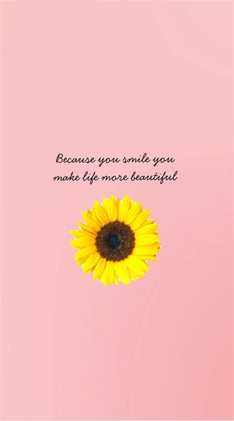 Sunflower Quotes Wallpapers Top Free Sunflower Quotes Backgrounds