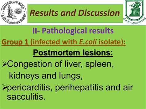 Pathogenesis Of Enterobacteriaceae Isolated From Commercial Chicken