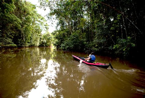 Amazon Kayaking Exploration South Expeditions
