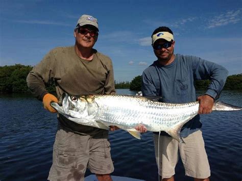 How Big Do Tarpon Get Average And Record Sizes Strike And Catch