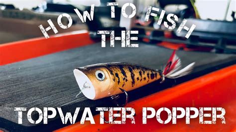 How To Fish A Topwater Popper Bass Fishing Youtube