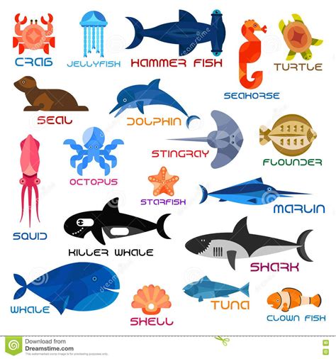 ocean animals - Google Search | Ocean animals, Sea animals, Marine animals list