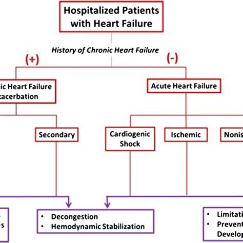 Chronic Heart Failure Chf Exacerbations Chfe Are An Integral Part