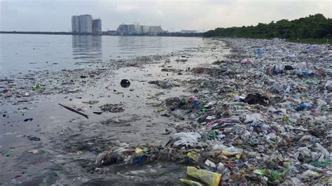 Plastic is killing more than 1.1 million seabirds and animals every year. Plastic Pollution in Manila, Philippines - YouTube