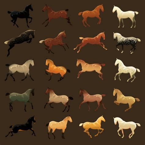 Variety Of Horse Coat Colors Gallery16577287