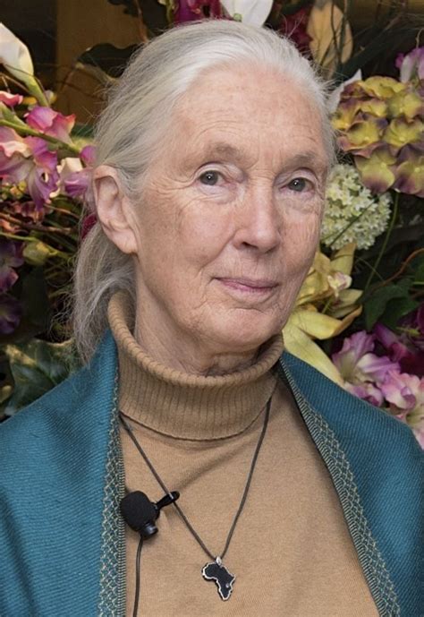 With jane whitney, gg allin, tandi andrews, michael alig. Jane Goodall - Wikipedia