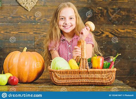 Harvest Festival Concept. Farm Market Fall Harvest. Child Girl Presenting Harvest Of Her ...