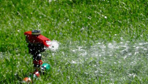 5 Water Conserving Tips For Your Garden