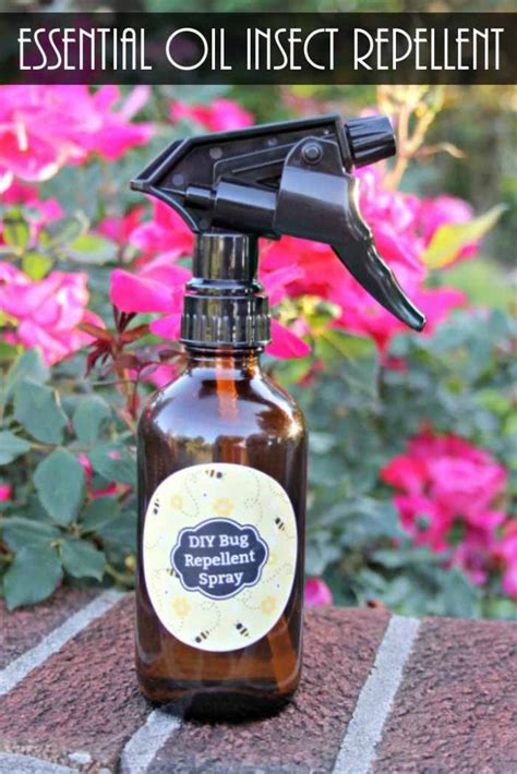 Essential Oil Bug Spray Recipe Quick And Easy Angie Holden The
