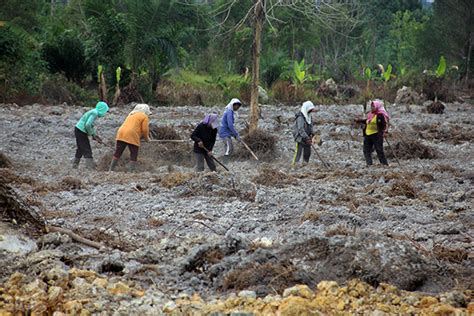 Mengenal Kampung Reforma Agraria Spi Di Desa Sei Litur Langkat Sumatera Utara Serikat Petani