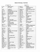 Medical Terminology Suffixes Worksheet Answers Photos