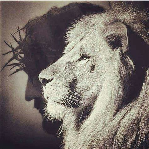 Lion Of Judah Jesus King Jesus Jesus Drawings Jesus Tattoo Prayer