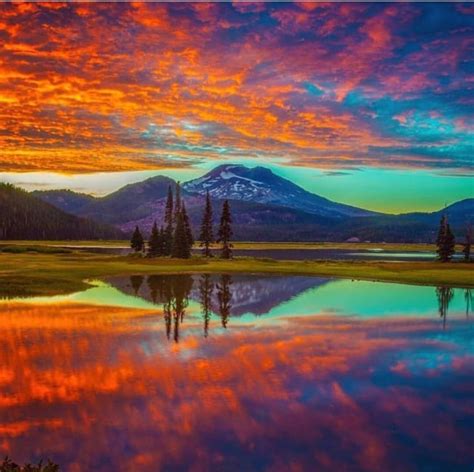 Pin By Danise Mcclung On Beautiful Pictures Wetland Oregon Outdoor