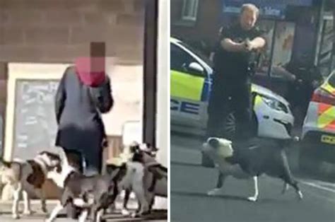 Dog Attack Bolton Video Shows Woman Bitten By Rampaging Pack Daily Star