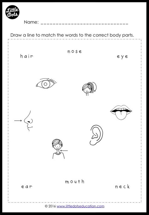Free Body Parts Worksheets For Preschool