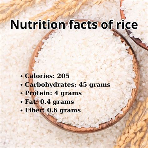 Rice Benefits Nutrition Facts And Health Benefits