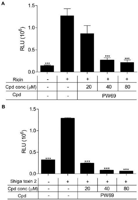 compound pw69 interferes with the activity of caspases 3 7 vero cells download scientific