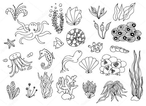 Dibujos Plantas De Mar Para Colorear Ilustración De Vector Doodle