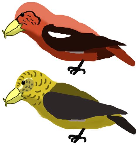 Large collections of hd transparent mini logo png images for free download. Falcon clipart oriole bird, Falcon oriole bird Transparent ...