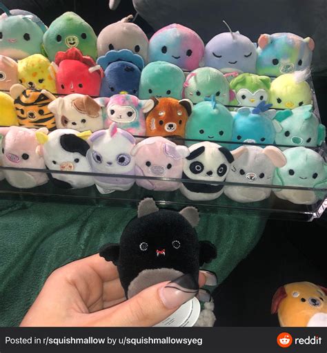 Best U Squishmallowsyeg Images On Pholder Squishmallow Bs