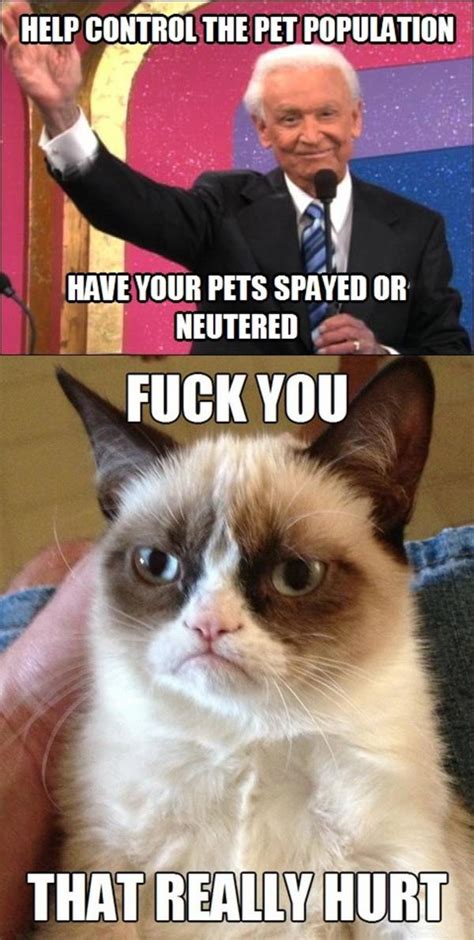 Spay And Neuter Your Pets Grumpy Cat Know Your Meme