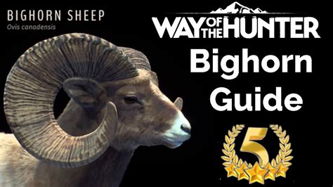Bighorn Sheep Guide Way Of The Hunter Youtube