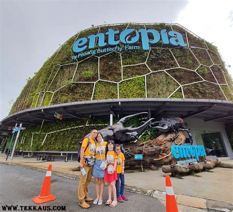 On arriving at entopia we purchased an annual 'family of 5' membership for rm468.00. Entopia Penang Review-A Must Visit Attraction For Everyone ...