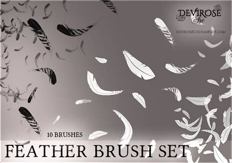 Feather Photoshop Brushes Set Free Download