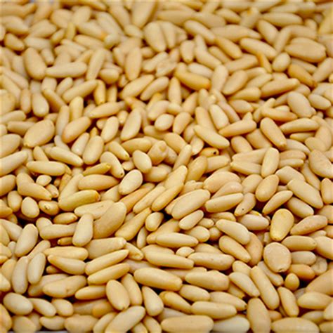 (f) means that a noun is feminine. raw spanish pine nuts