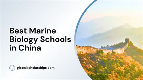 5 Best Marine Biology Schools In China Global Scholarships