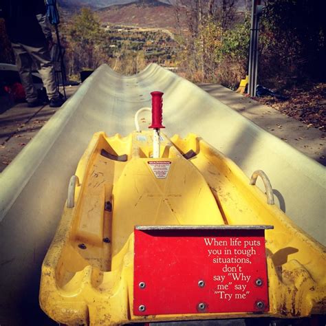 Alpine Slide In Utah Is The Coolest Way To Get Down A Mountain Alpine