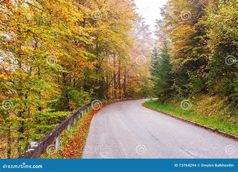 Road Through Autumn Forest Stock Photo Image Of Colorful 73764294