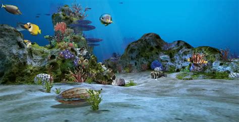 Taking a zoom video meeting in your daewoo lanos? Amazingly Beautiful 3D Aquarium Live Wallpaper Wallpaper ...