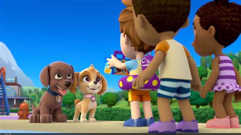julius goodway gallery pups save a pool day paw patrol wiki fandom powered by wikia