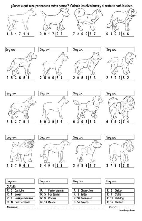 Division08 Divisiones Matematicas Ejercicios Matematicas Primaria Fichas De Matematicas