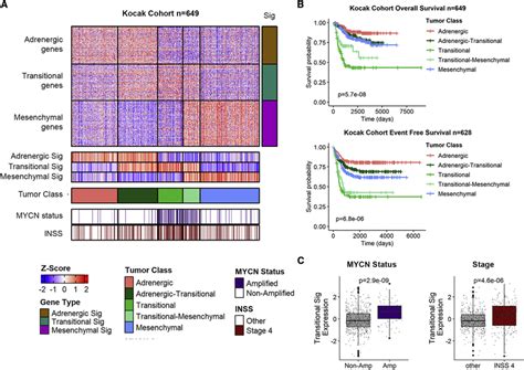 Tumors Expressing Transitional Neuroblast Signatures Are Associated