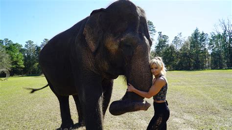 Video This Woman Has An Elephant For A Best Friend Viral Viral Videos