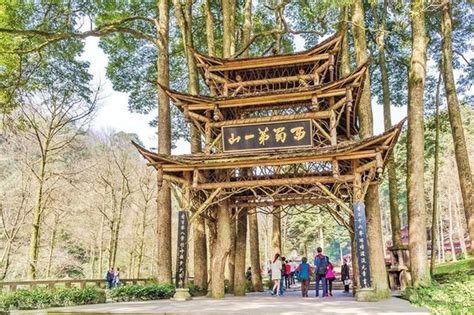 Private Chengdu Day Tourmtqingcheng With Round Trip Cable Car And