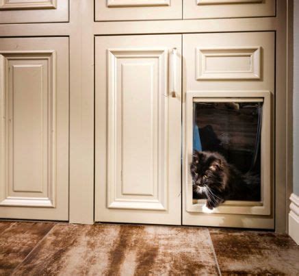 Check spelling or type a new query. Hide kitty's litter box in a cabinet in the laundry room ...