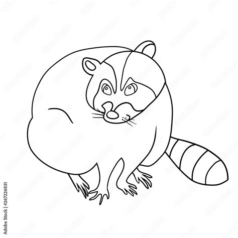 Cute Raccoon Cartoon Character Raccoon Pet Black And White Drawing