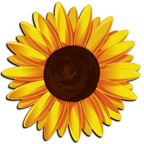 Download High Quality Sunflower Clipart Easy Transparent Png Images