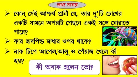General knowledge is information that has been accumulated over time through various mediums. General Knowledge Bangla II General Knowledge Bengali II ...